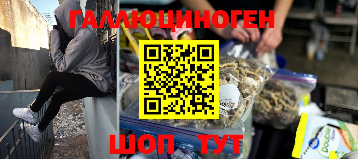 Соль-Илецк  Галлюциногенные грибы прущие грибы  Вход с VPN 